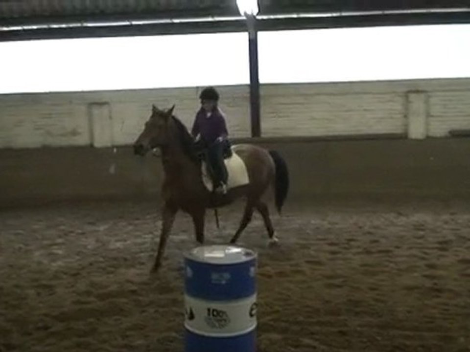 Le 6-11-2011 jeux après la Saint-Hubert au manège El Cortijo