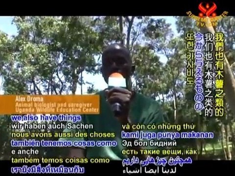 On the Wild Side: Meet the Animals of the Uganda Wildlife Education Center - P3/3