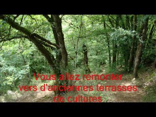 Les Cascades de Murel