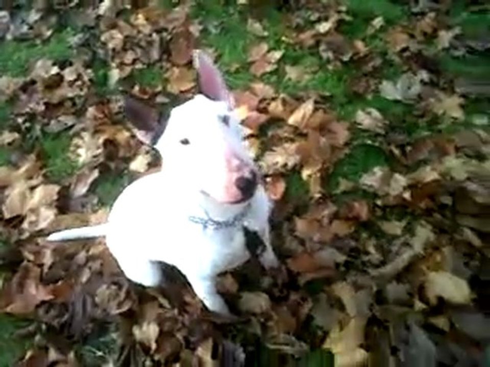 VID 00040-20111125-1629