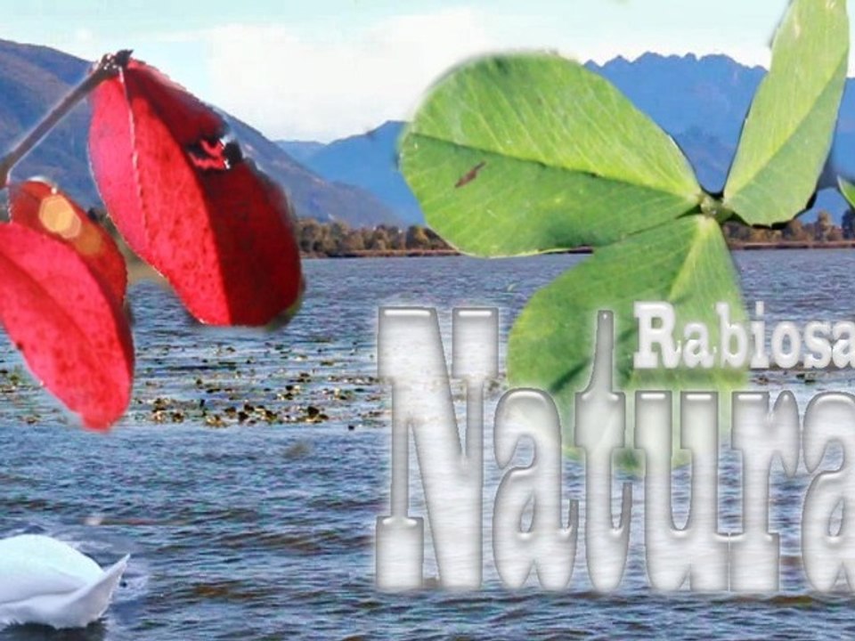 natura rabiosa 3