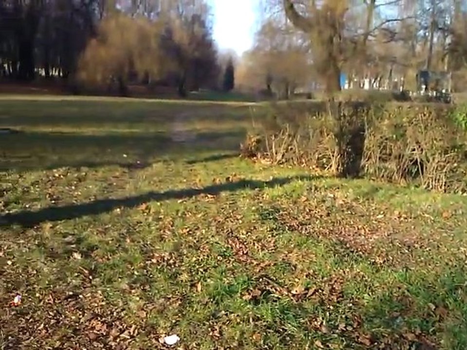 Moja okolica cz 1 (Park)