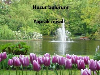 Mustafa Dursun Aşkın ile Seve Seve