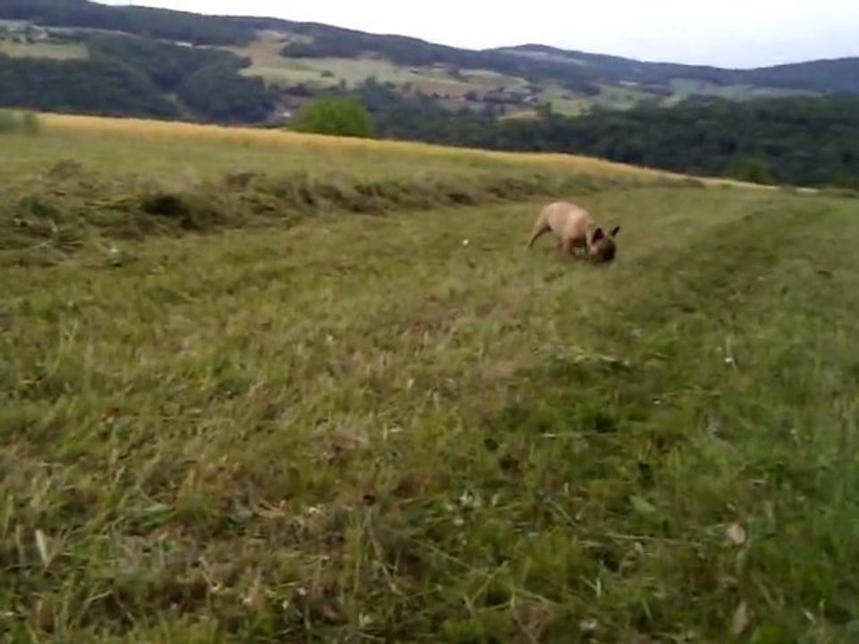 VIDEO0011