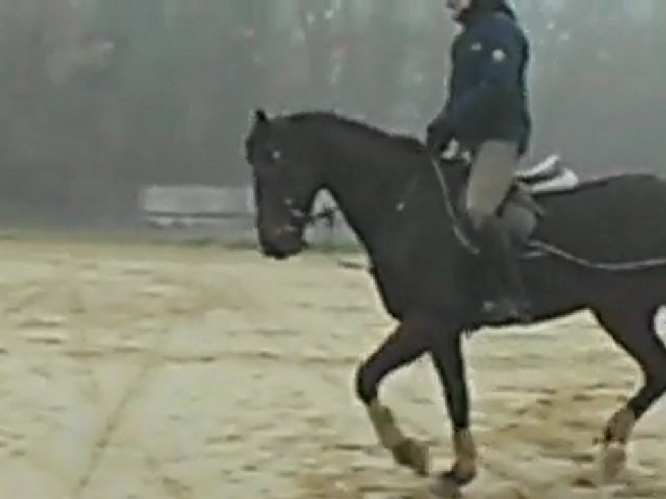 Séance du 26 11 11 François