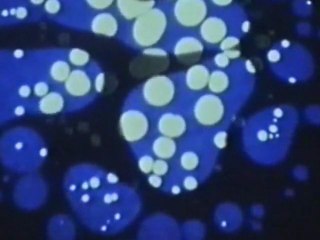 Hope for Happiness: Soft Machine