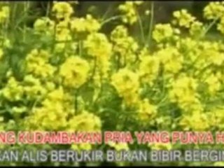 Rhoma Irama & Riza Umami - Dasi Dan Gincu by cep_dodoy
