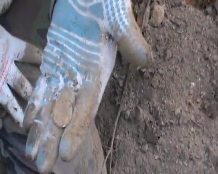 Sortier du 26-11-2011 1ière partie