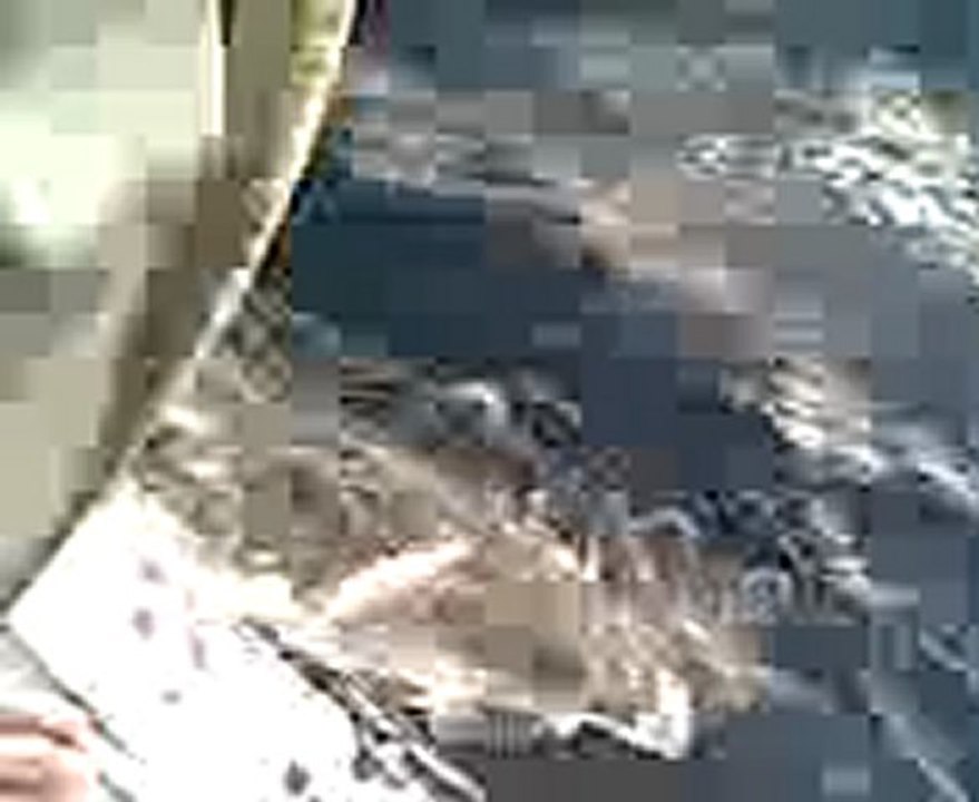 mezgit  avı zonguldak- www.balikcilar.net