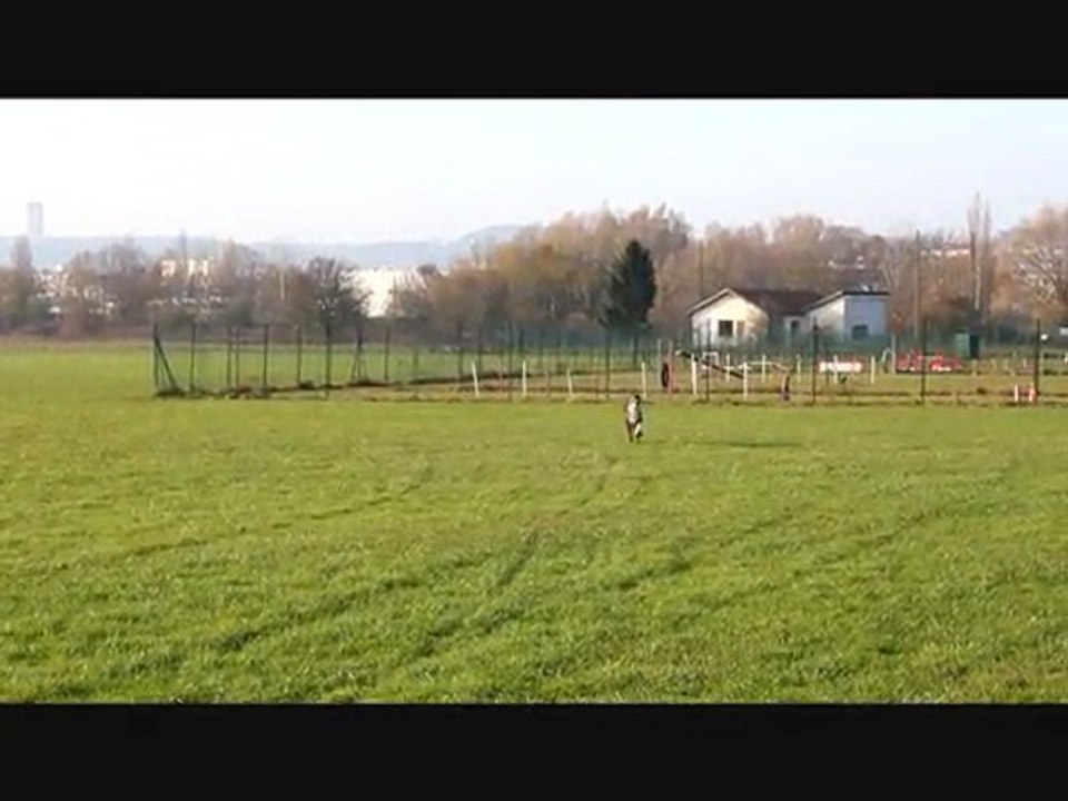 quand je serai grand_je les aurai ...