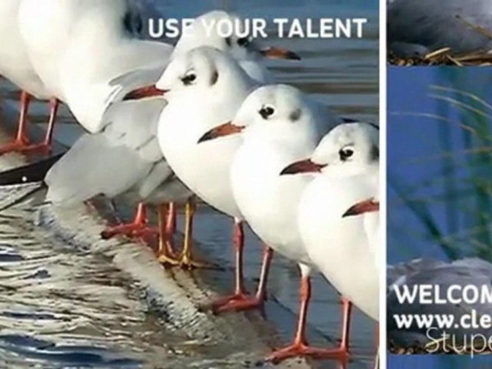 WWW.CLEARR.COM WELCOMES YOU