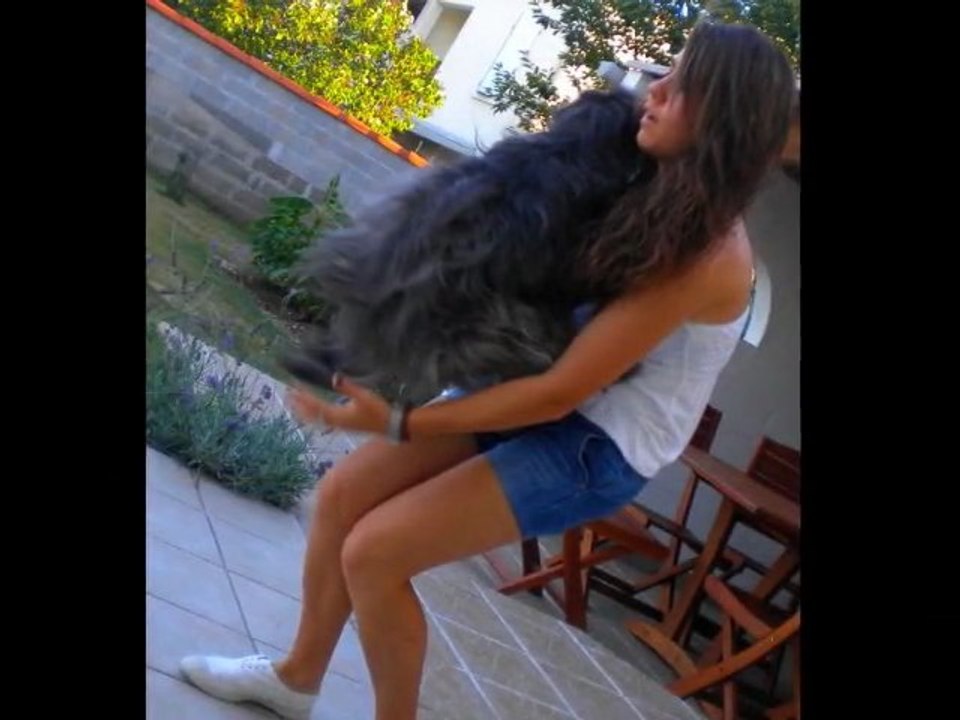 Carla & City Concours Agility à Cognac 20 Novembre 2011