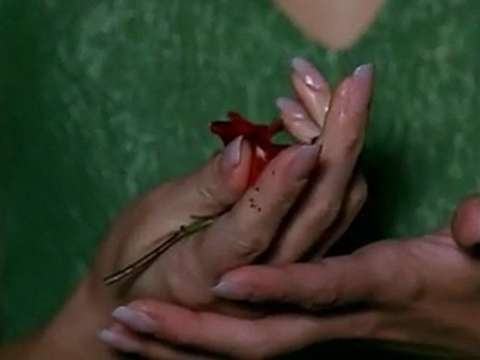 Cape Karma - DVDScr - XviD - 1CDRip - [DDR] ( part 1 )