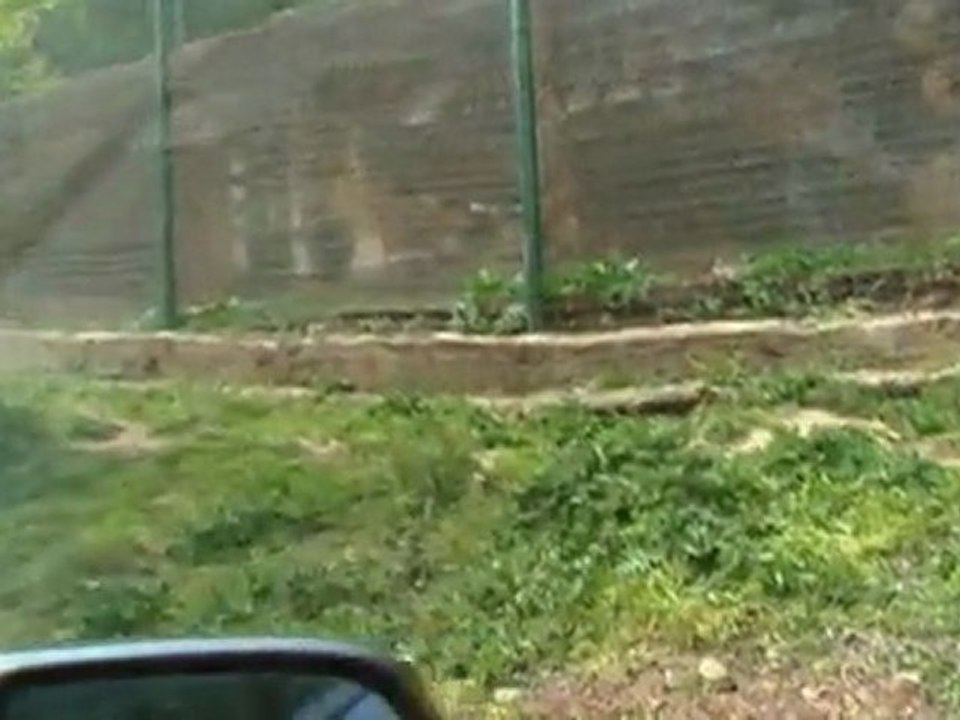 Zoosafari prima parte