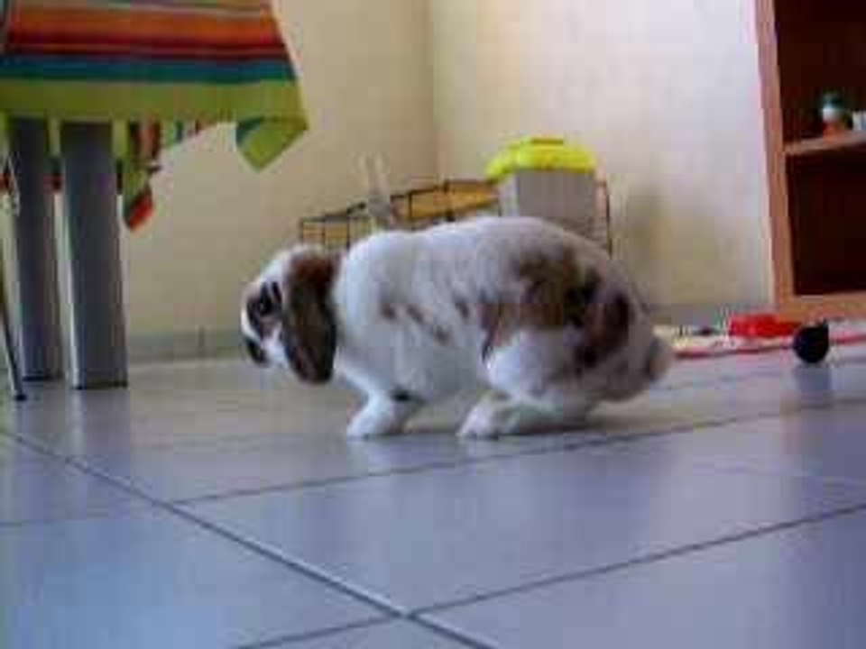 boby a peur