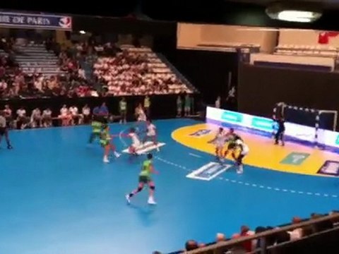 France - Tunisie Tournoi de Paris de Handball