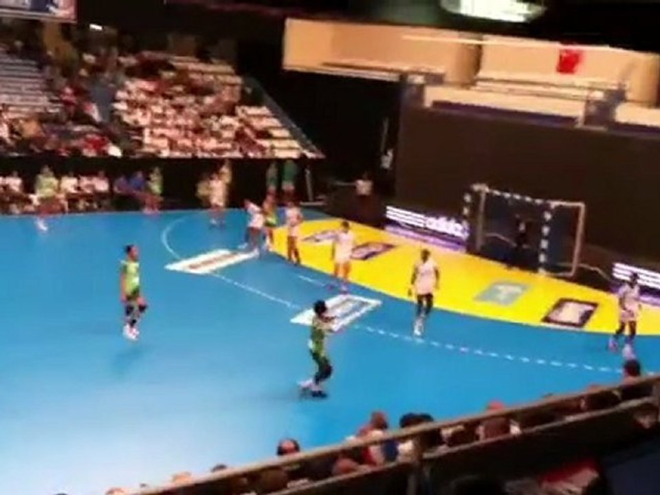 France  - Tunisie Tournoi de Paris de Handball