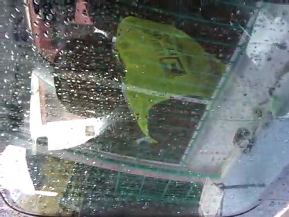VIDEO0013