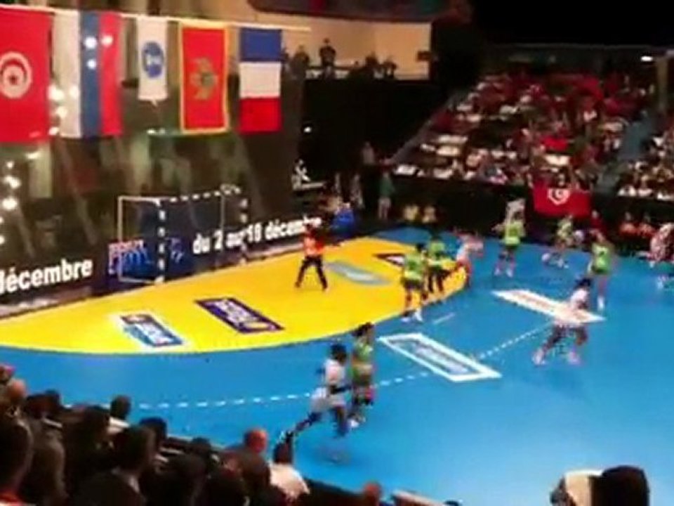 France  - Tunisie Tournoi de Paris de Handball