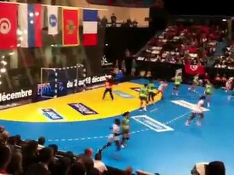 France - Tunisie Tournoi de Paris de Handball