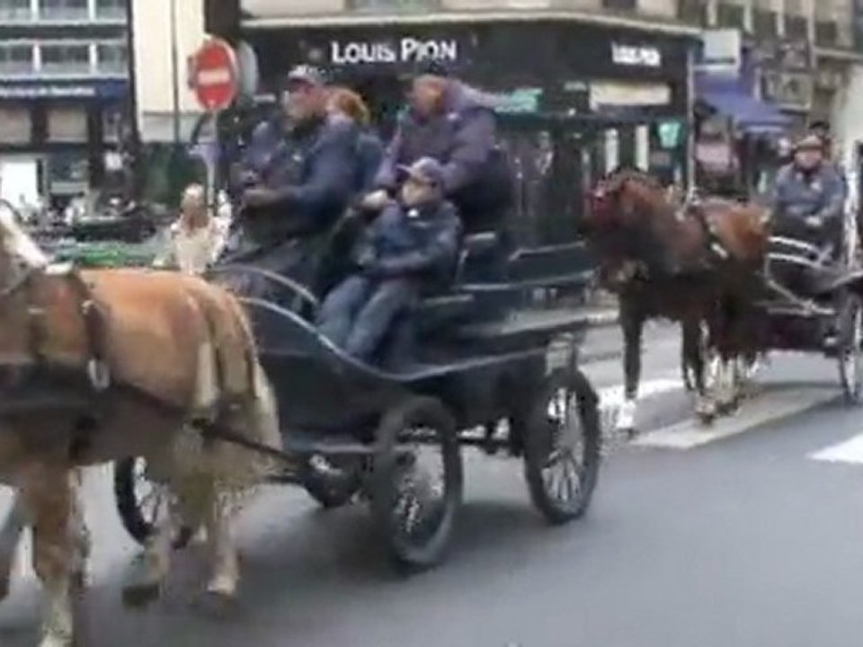 Le défilé du Cheval de Paris