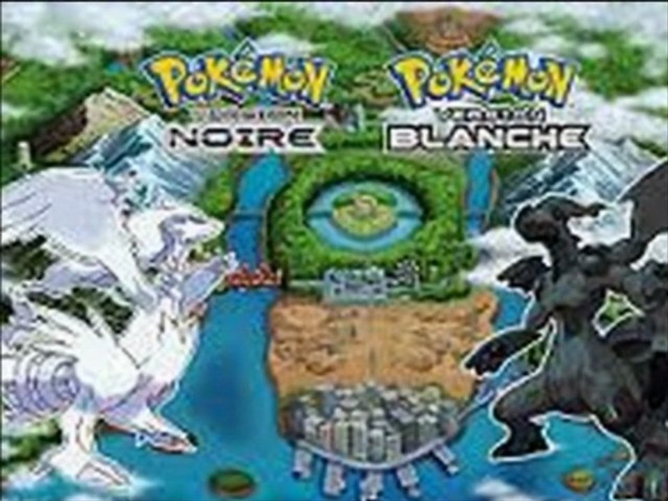 Pokémon noir et blanc