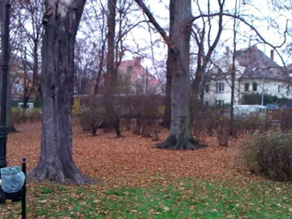 HTC Mozart - Moja okolica 8