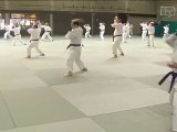 Démo de Wa-jutsu organisée par le club de court-Saint-Etienne