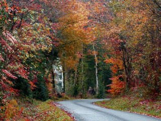 Mes photos d'automne