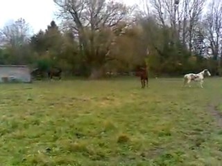 Bébou en mouvement à 7 mois et demi... Ne pas louper à 2min30!!!