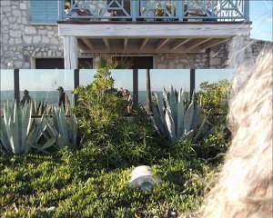la promenade des ANGLAIS 27 novembre 2011