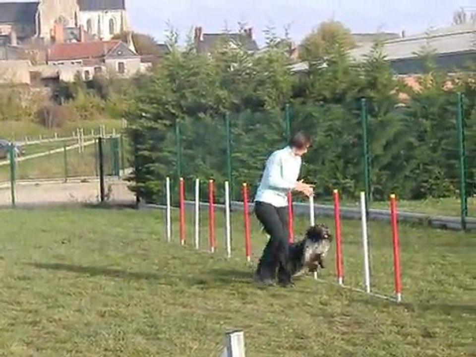 Entrainement Colchique Agility Novembre 2011