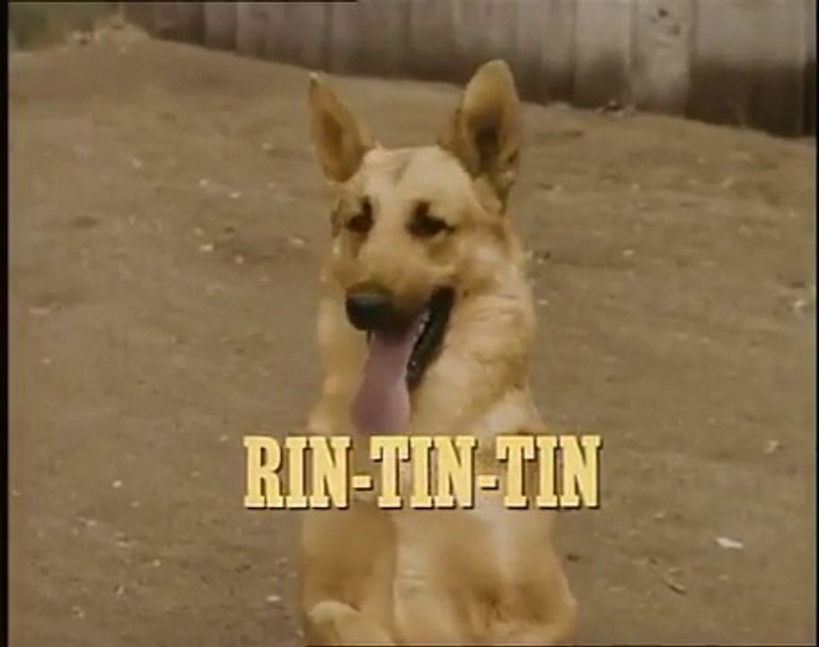 RinTinTin - 5 / Le nouveau barbier de Séville