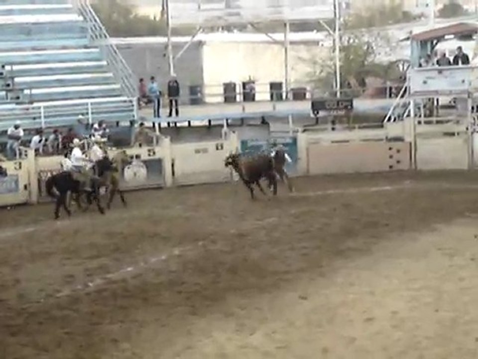 rodeo 2eme essai