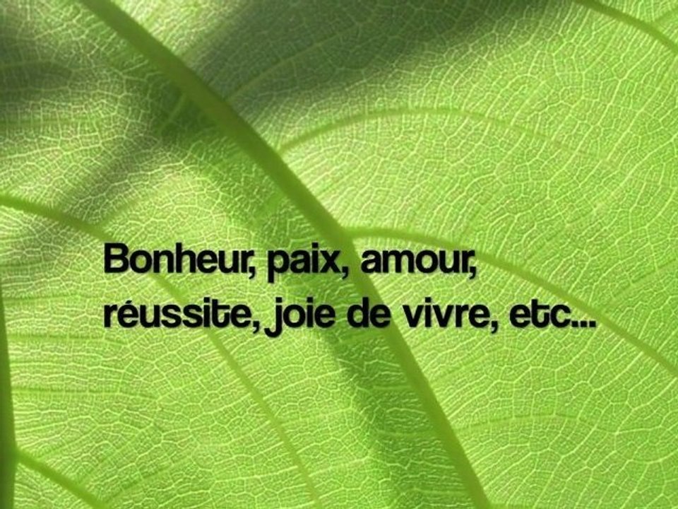 Réussir, joie de vivre et Bonheur : des solutions.