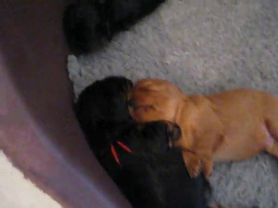 grosse sieste !