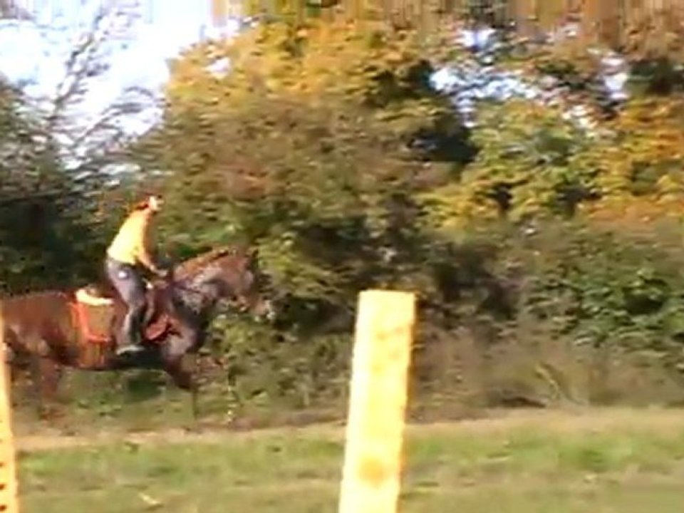 oxer 1