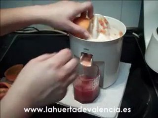 Otra de las naranjas de Valencia: La sanguinelli.