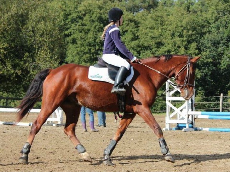 Concours Saint André avec didou!