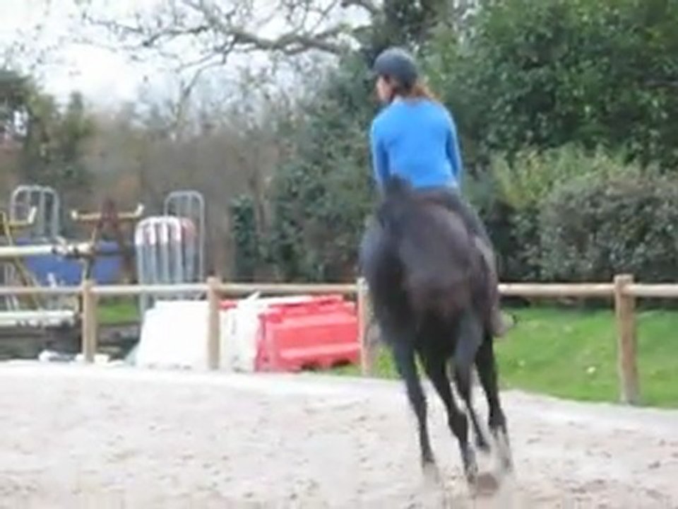 20111128 Udelia premier enchainement monté