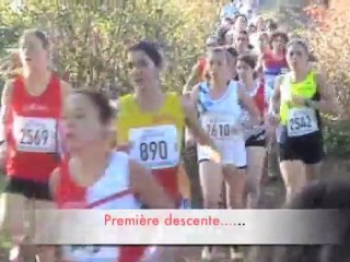 Cross du Val De Marne 2011