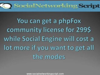 Best Social Networking Script