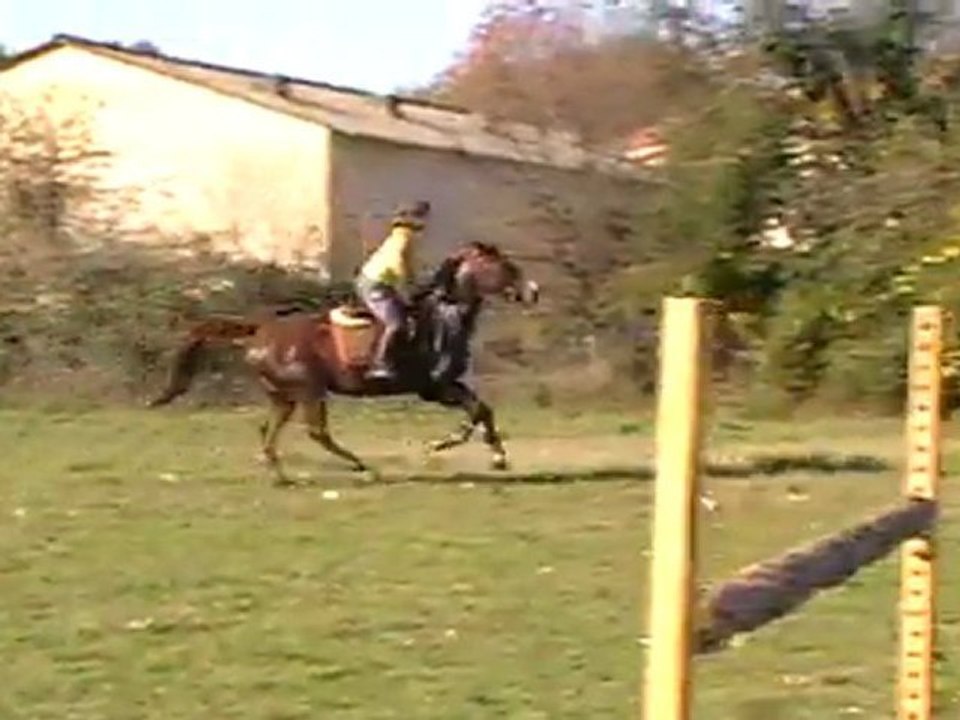 oxer 3 4 points
