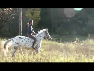 Après midi d'automne..