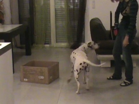 shapping boite 3 pousse