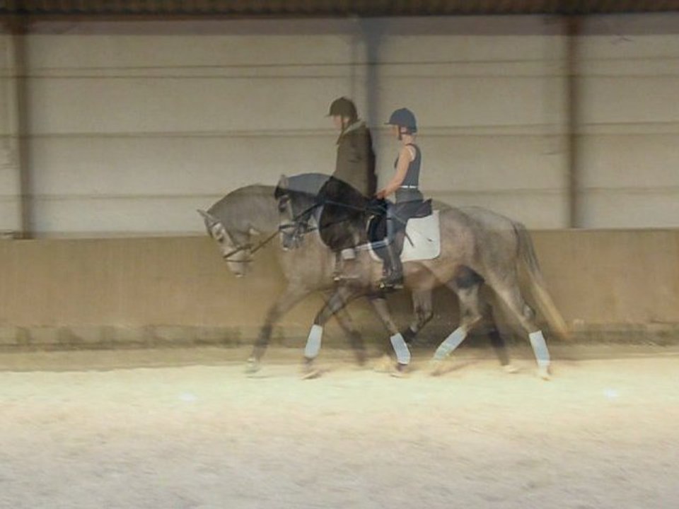 Baelo II 13de les - 26-11-2011
