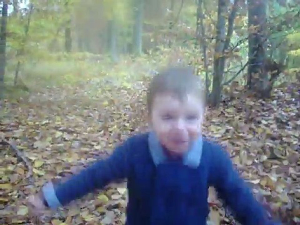 111101_herbstwunder