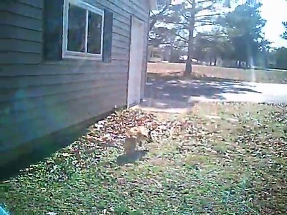 2007-01-01 001