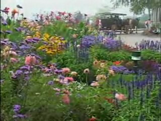 Mackinac Island Horses