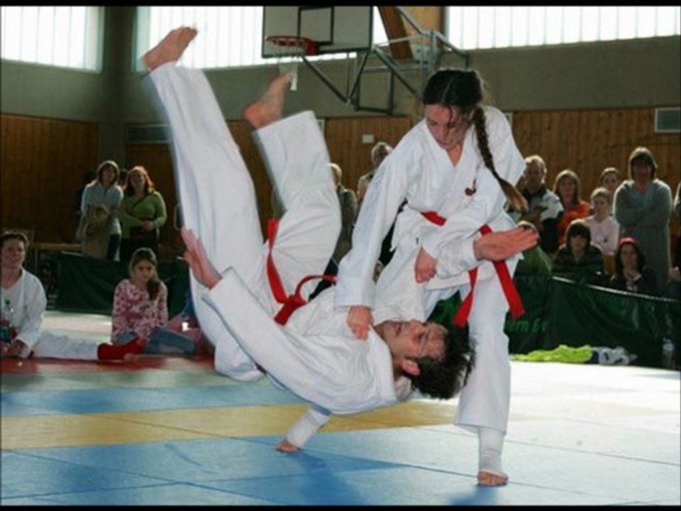 Ju-Jutsu,Karate,Taekwondo,Judo,Jiu-Jitsu